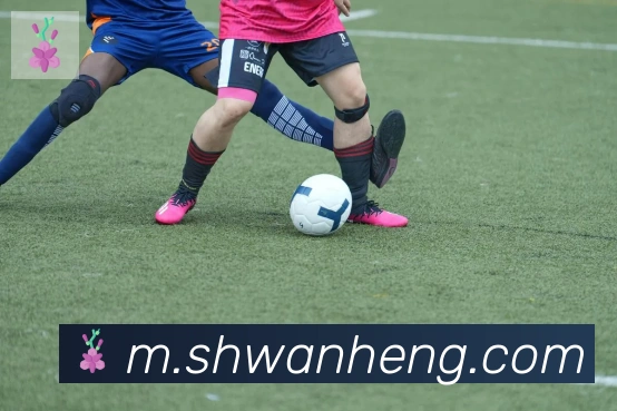 爱游戏体育服务体系